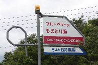 kanban