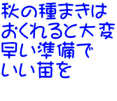 H̎܂ Ƒ  c 