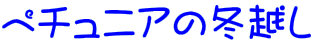 y`jA̓~z