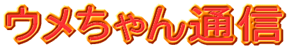 �E�������ʐM